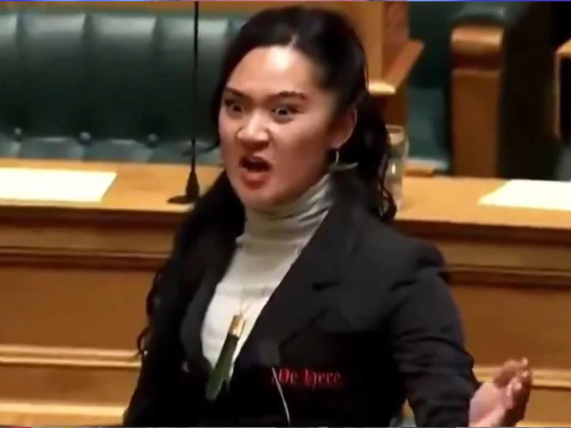 New Zealand Parliament Suspended As Maori MPs Stage Haka Against Contentious Treaty Bill