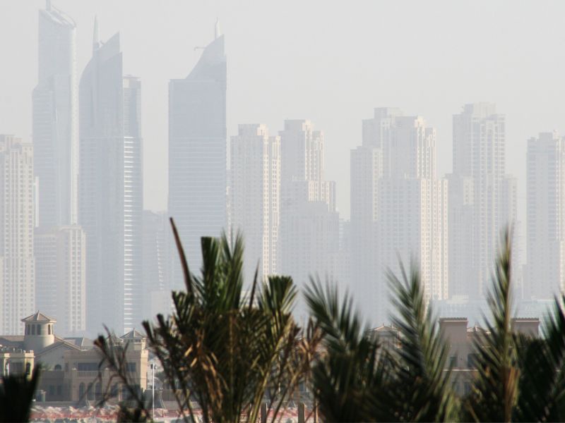 UAE Weather: Thick Fog Hinders Visibility, Red Alert Issued In Some Areas